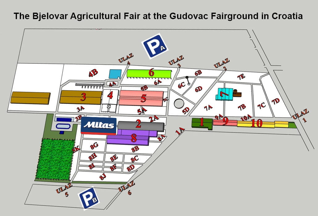 meet-our-mitas-team-in-croatia-2